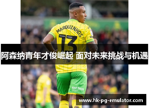 阿森纳青年才俊崛起 面对未来挑战与机遇